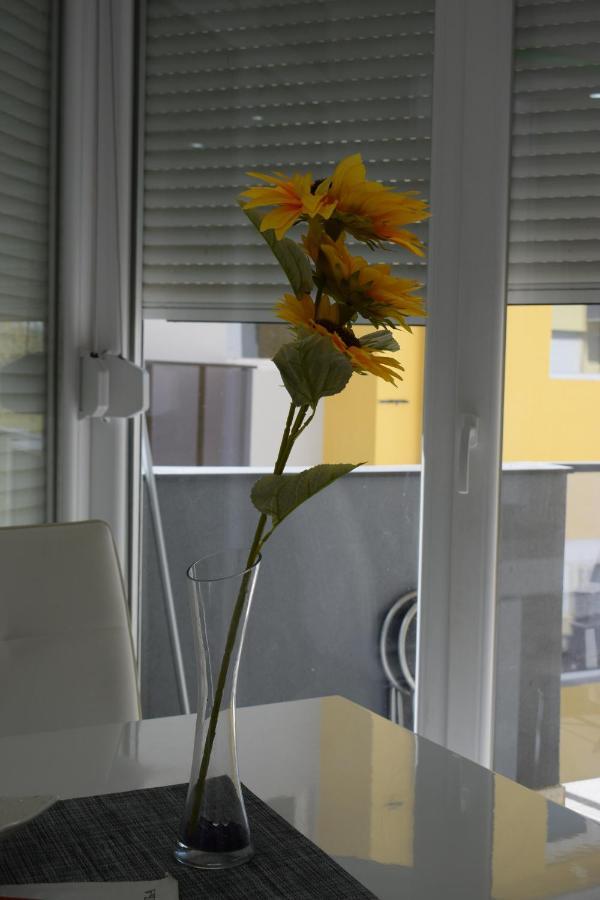 Apartmani K&V Veliko Gradište Buitenkant foto