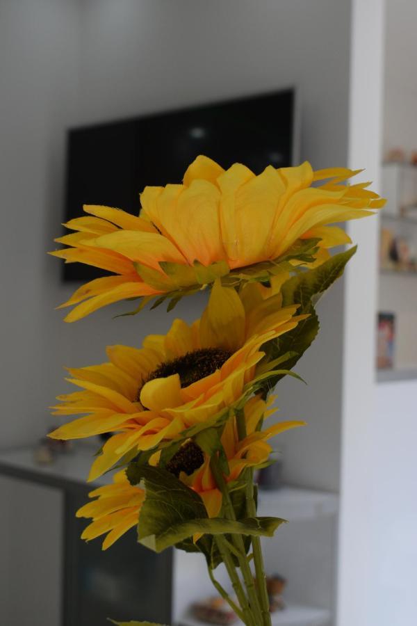 Apartmani K&V Veliko Gradište Buitenkant foto
