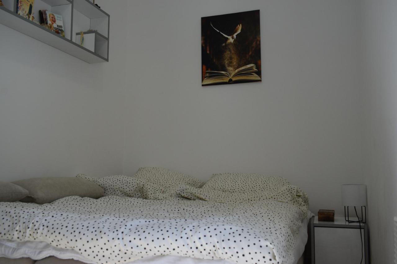 Apartmani K&V Veliko Gradište Buitenkant foto