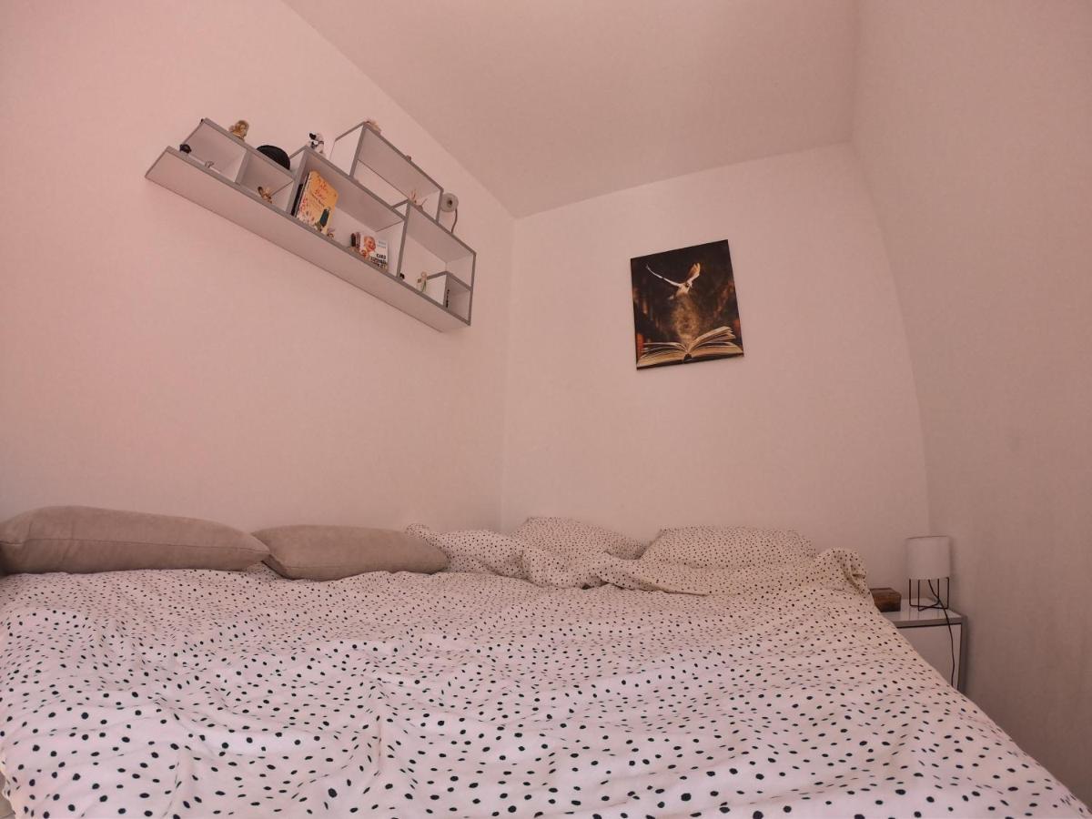 Apartmani K&V Veliko Gradište Buitenkant foto